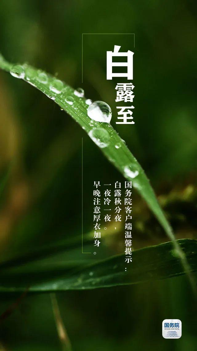 今日白露 | “露凝而白也”，仲秋时节开始了