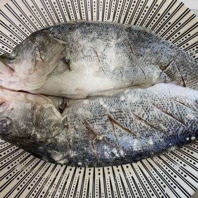 海鲈鱼