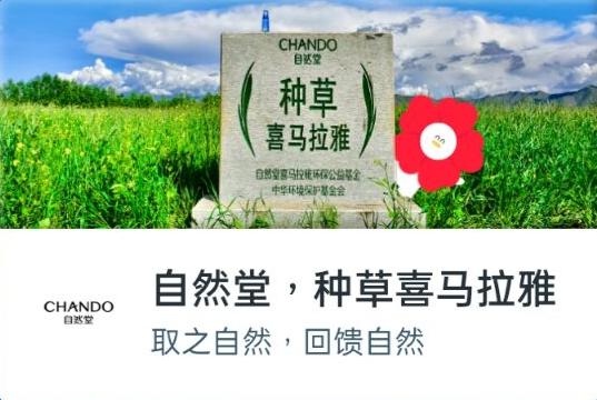 社交、直播、内容齐上阵，看互联网大厂如何践行公益？