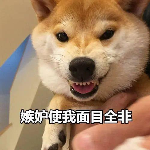 价格不菲！女子吃海螺吃出稀世珍宝 网友炸锅了