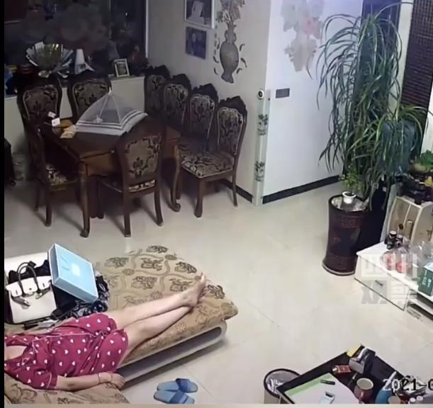四川泸县地震时妻子反冲向屋内叫醒老公，狗被吓得冲出房间，网友：狗子靠不住