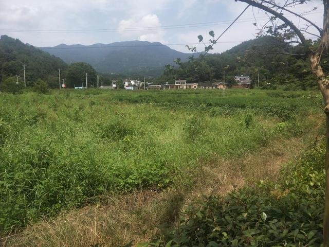 黑龙江省小型鹅卵石制砂机厂家