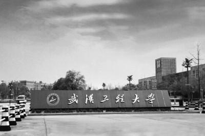 武汉工程大学2018发展党员情况