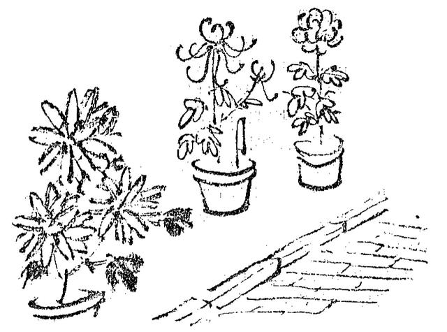 桂林洗砂机生产厂
