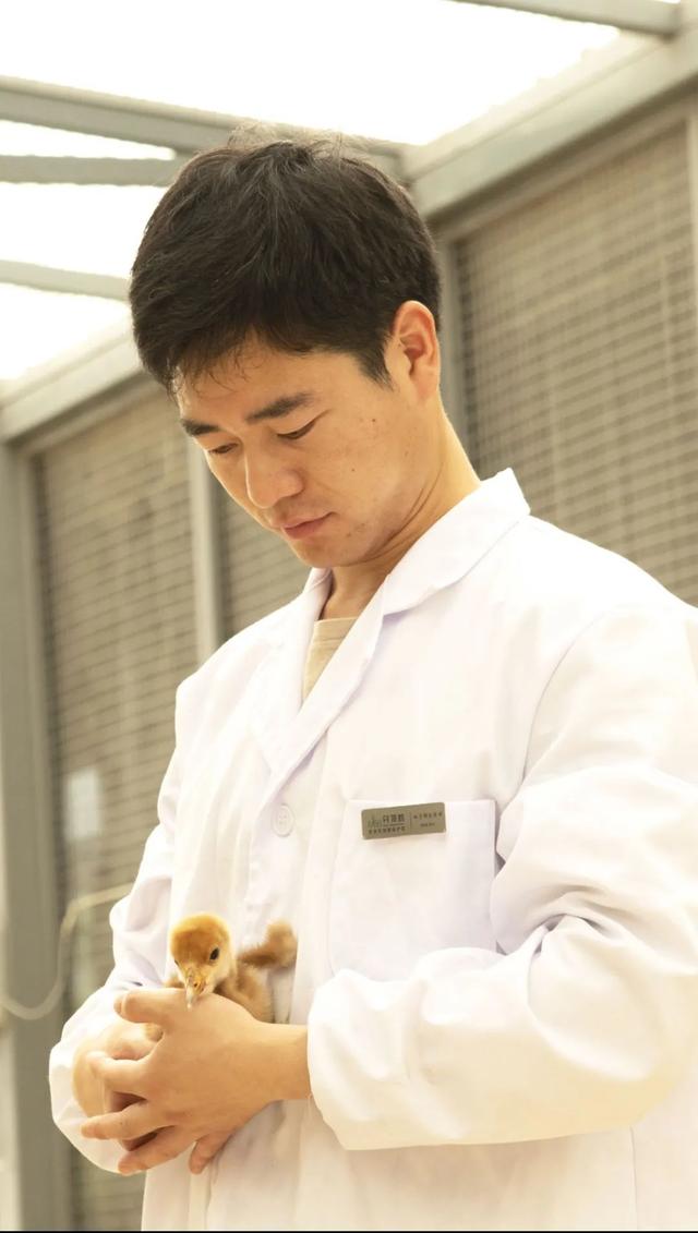 拉萨砖瓦破碎机批发