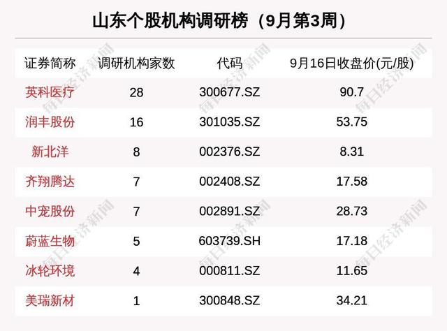 淄博污泥浓缩压滤机