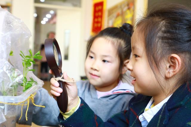 寿光圣城中学幼儿园：哪怕是一株狗尾草都是一个课程资源