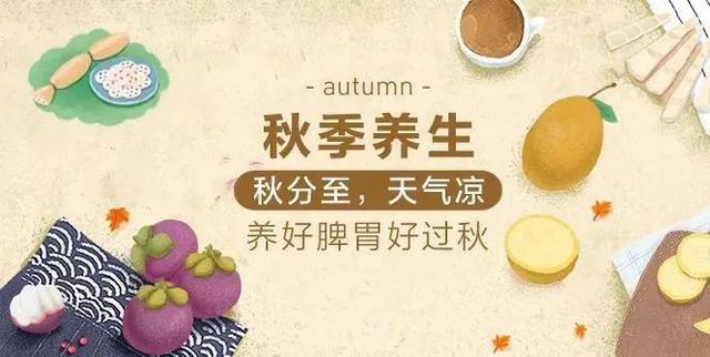 如何保持人体的“阴阳平衡”？从“秋分”开始做好这几件事→
