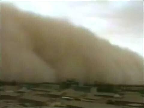 “蚂蚁森林”被疑造假背后：在阿拉善，下雨就像下黄金一样