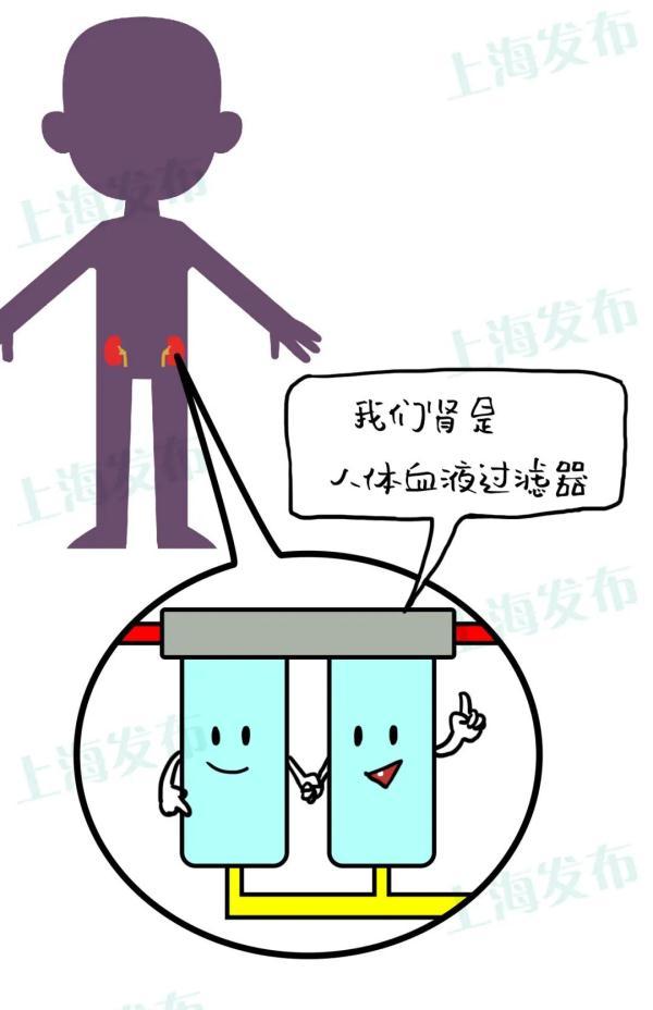 精粉过滤机的简单介绍