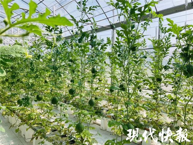 4月13日南京农业机械展