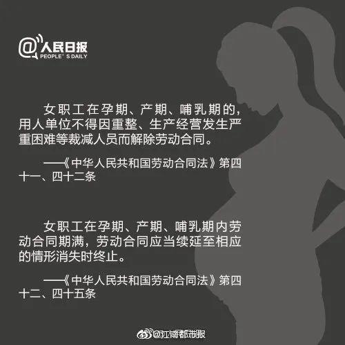 女子怀孕七个月，被公司称没产假劝退？网友热议