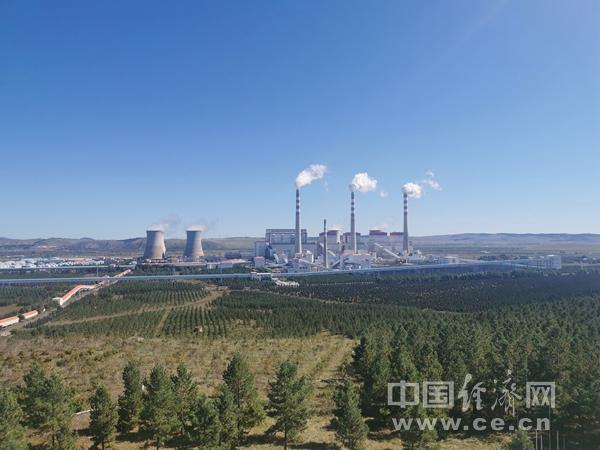 包含腐质土破碎机的词条