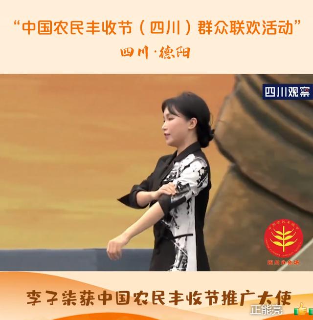 关于“李子柒事件”，普通人应该怎么看