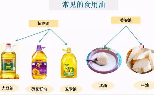 植物油烧菜会产生致癌物质？动物油脂更健康？破除食用油七大谣言