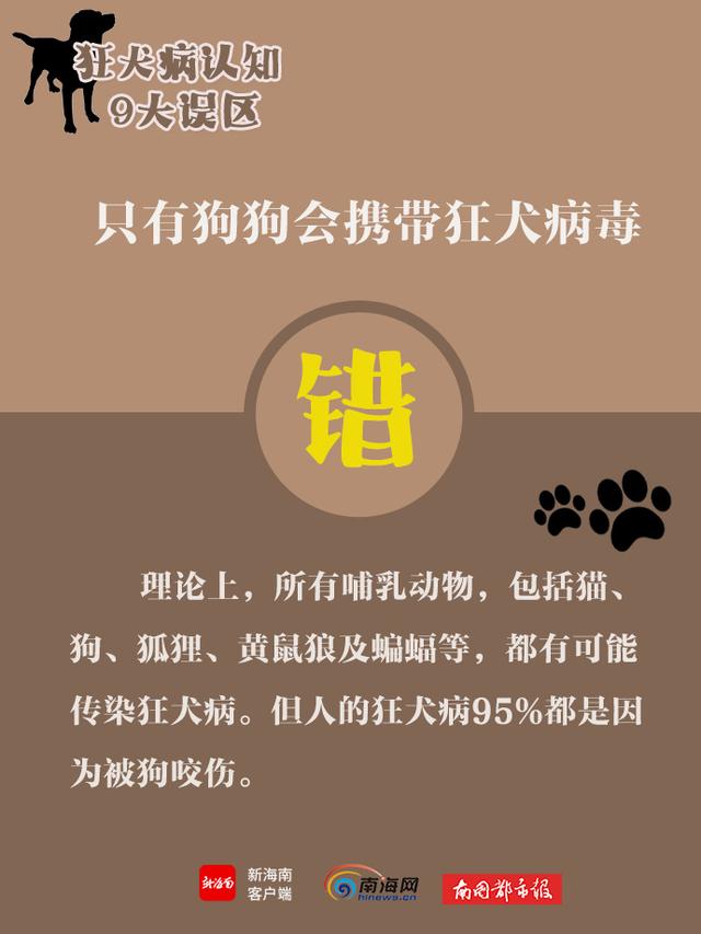 世界狂犬病日，带你了解狂犬病9大认知误区