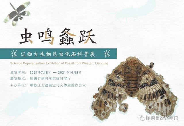 洗砂机价格甄选沃力机械优惠促销