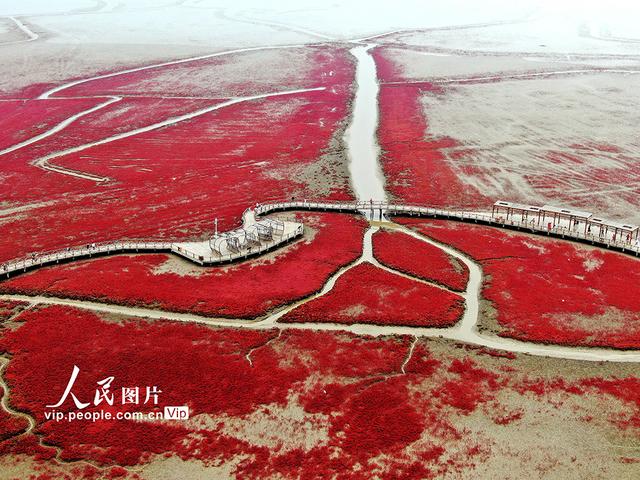 红海滩电视剧分集介绍图片