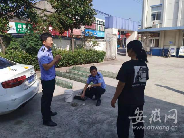 无为一女子凌晨下河起"地笼" 蹲守民警将其抓个正着