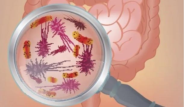 酸奶不是这样喝的！教你4招选出健康酸奶，正确喝才受益