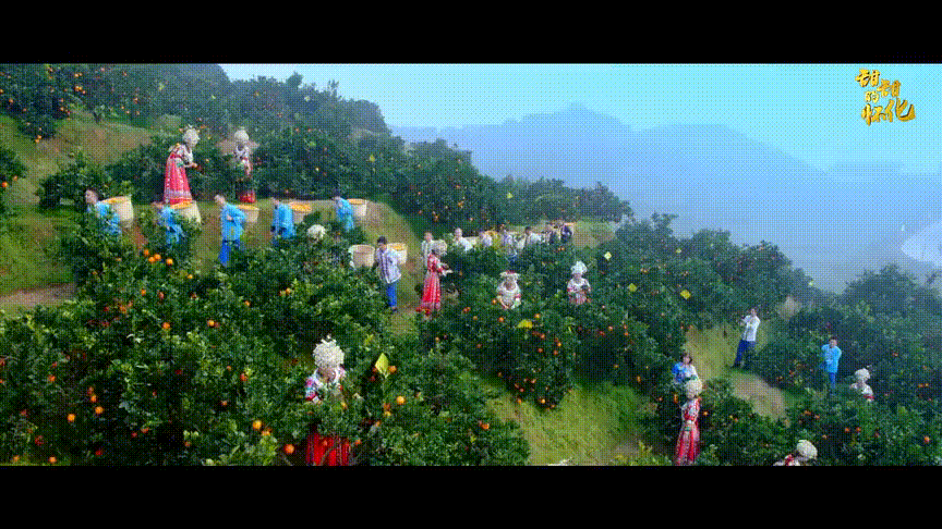 怀化洗砂机哪家好