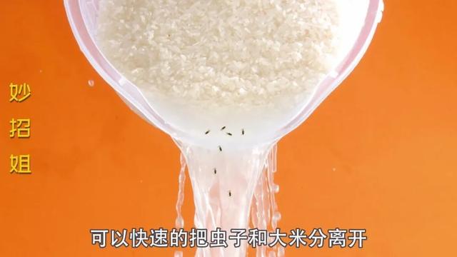 大米生虫子怎么办