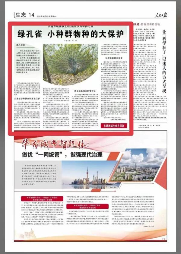 屁股尾巴骨处皮肤像鱼鳞一样