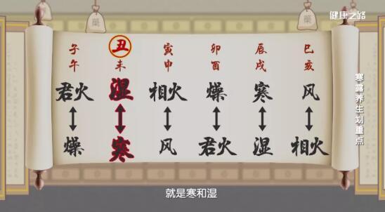 寒露天气转凉、湿气加大，养生重点要牢记