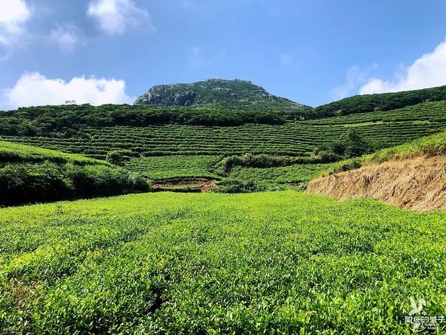 大嵛山岛