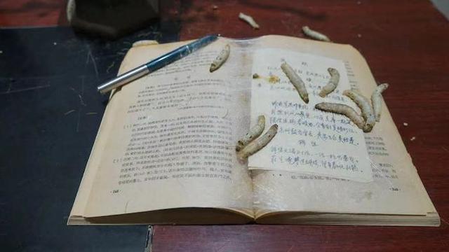 长沙工程机械展模特