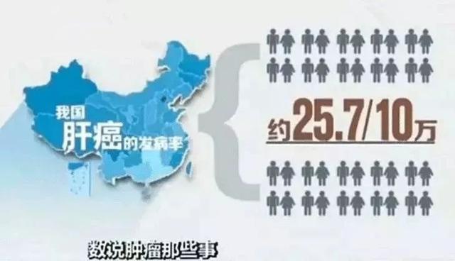 长期喝酒、熬夜太伤肝！这种药草，养肝降血脂