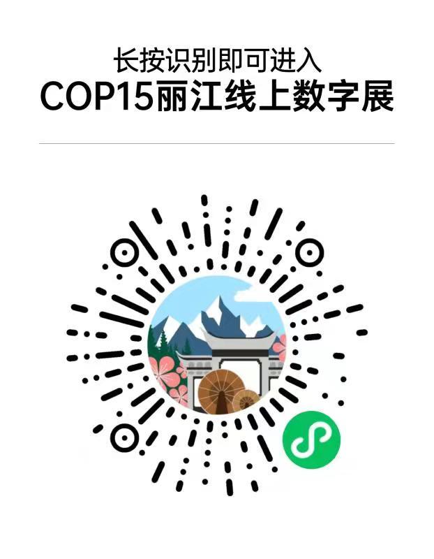 丽江机械展
