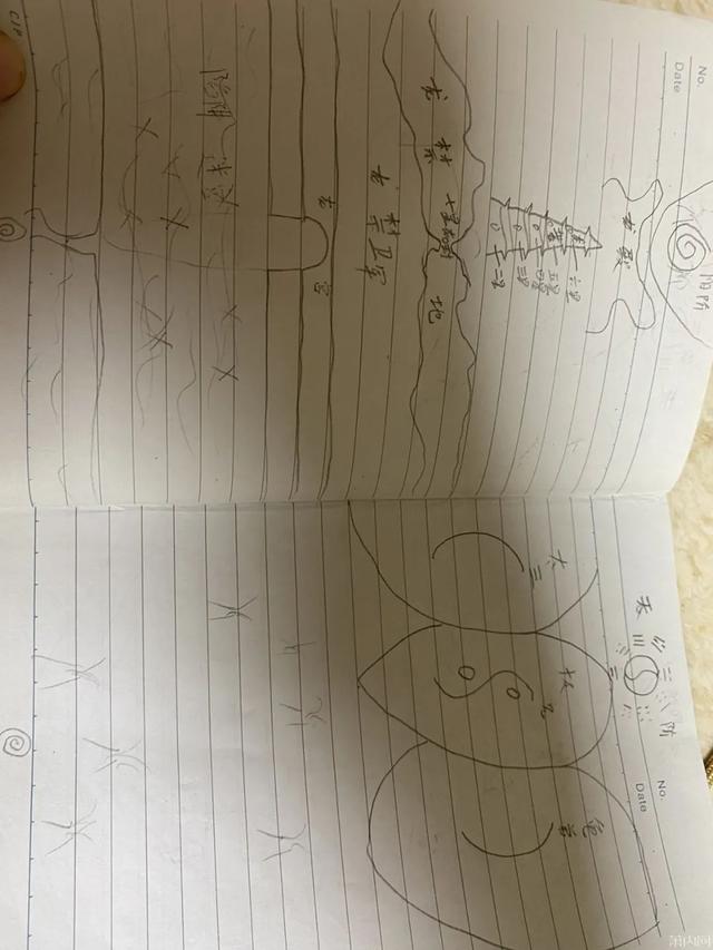 姑娘整理书架，发现弟弟小学时的秘密！网友：是个人才