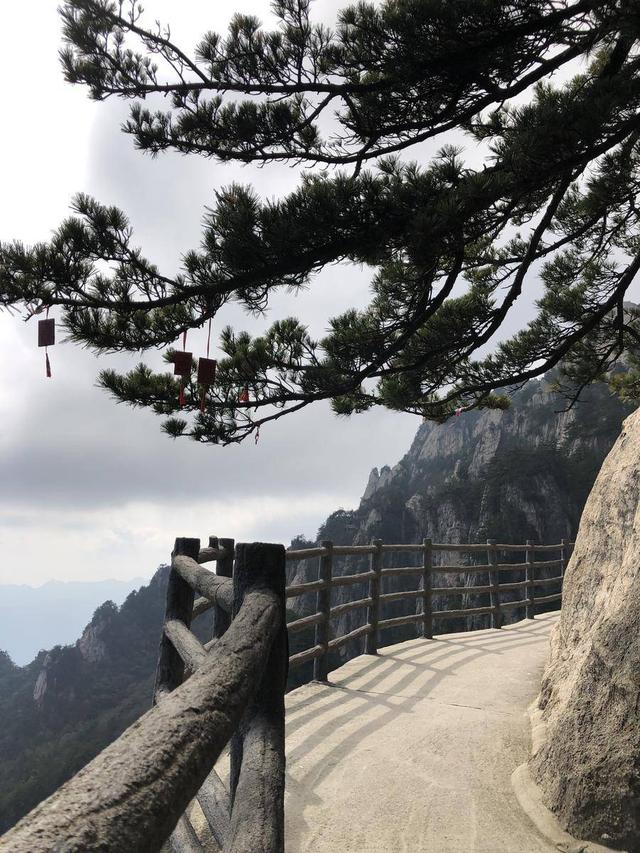 老君山风景区在哪里