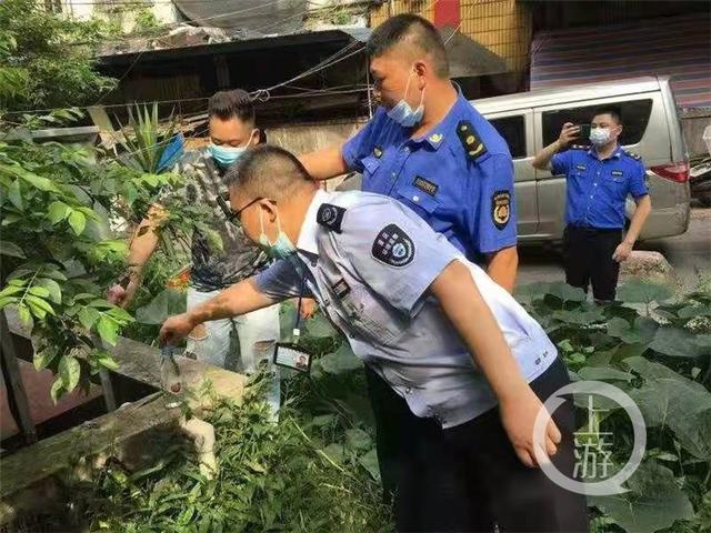 包含宜兴陶瓷污泥压滤机批发的词条