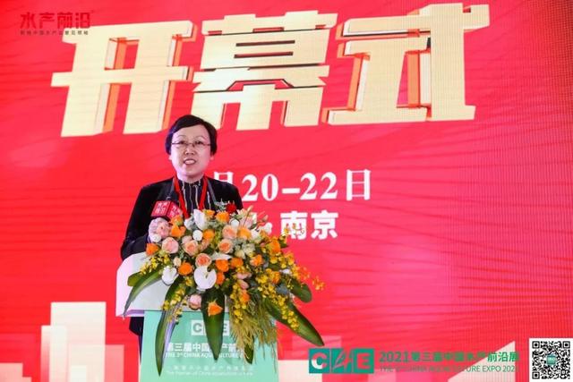 徐州二手树根破碎机转让