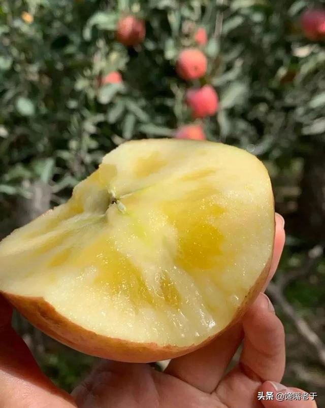 碱性水果 碱性水果（吃什么变碱性体质最快） 生活