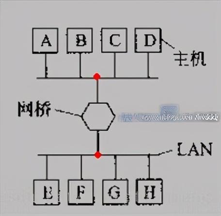 网络设备