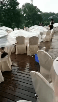 搞笑的动图GIF：小姐姐，你这牙齿居然能自由装卸
