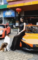 搞笑的GIF图片：不像你啊乌鸦哥，应该早就掀桌了