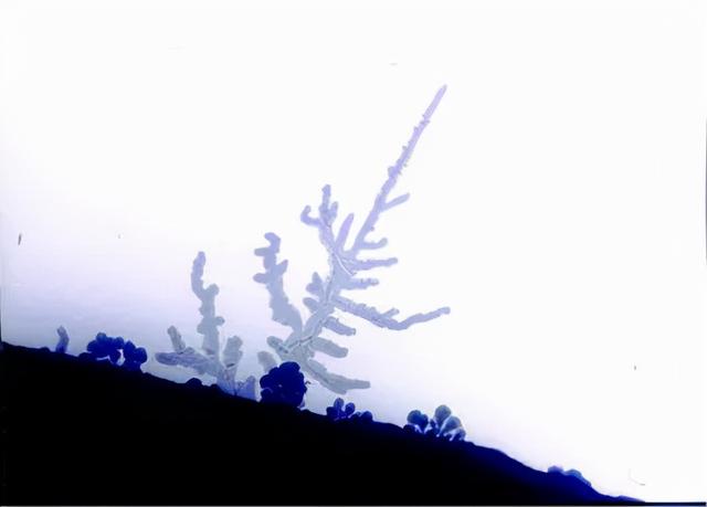 汽车电池新动态：下一代锂金属电池，离我们到底还有多远？