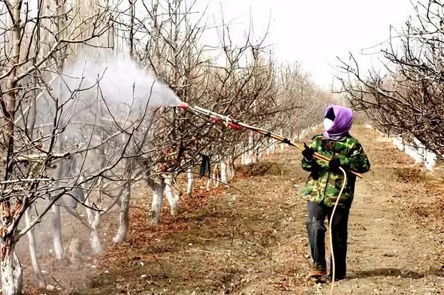 “清园神器”石硫合剂，配方和用法都在这里了，不谢！