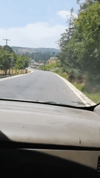 爆笑的动态图GIF：小妹妹，你的棒棒糖不错啊！