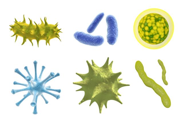 千万别太讲卫生？更容易出现过敏？这是怎么回事？