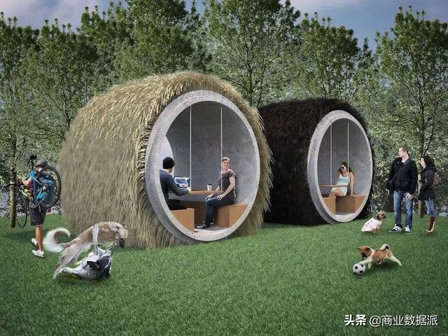 双11变局：天猫发力D2C