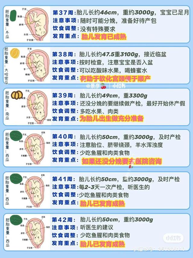 怀孕40周胎儿的变化 今日热点