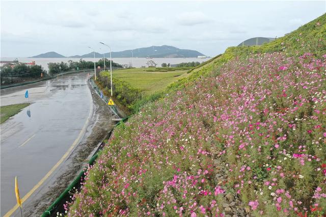 砂石供应商