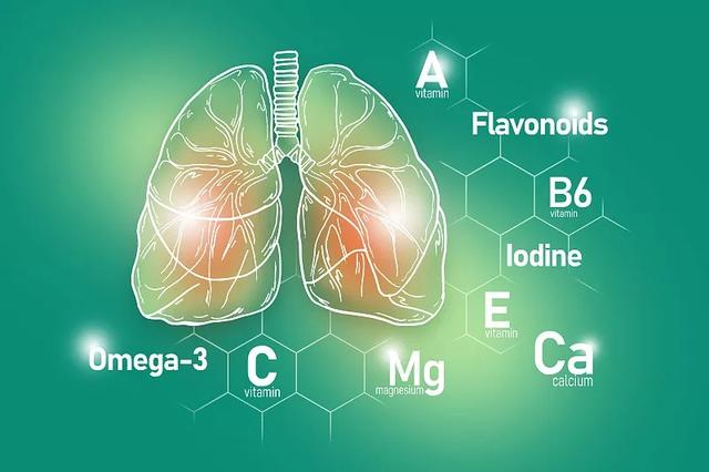 滋养肺部的食物