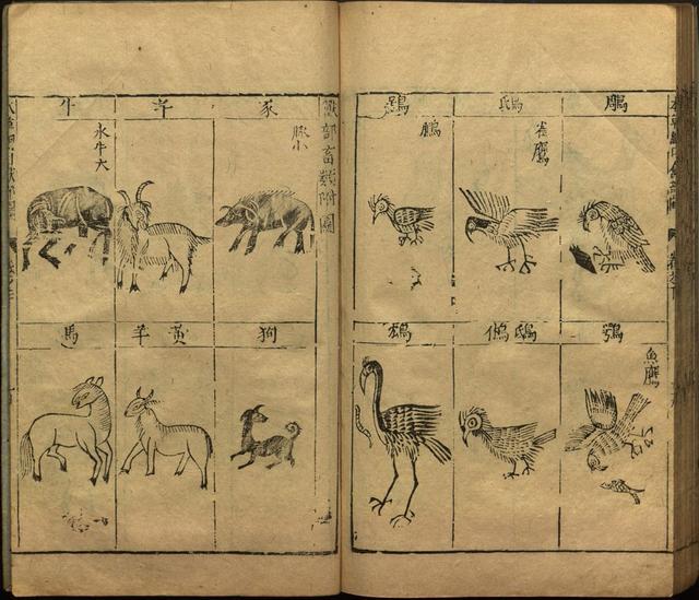 李时珍著《本草纲目》插图卷·下卷