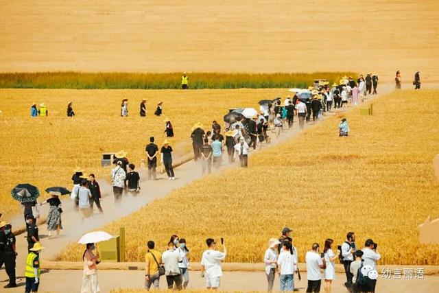 让美育走进家庭之手指印画—小麦